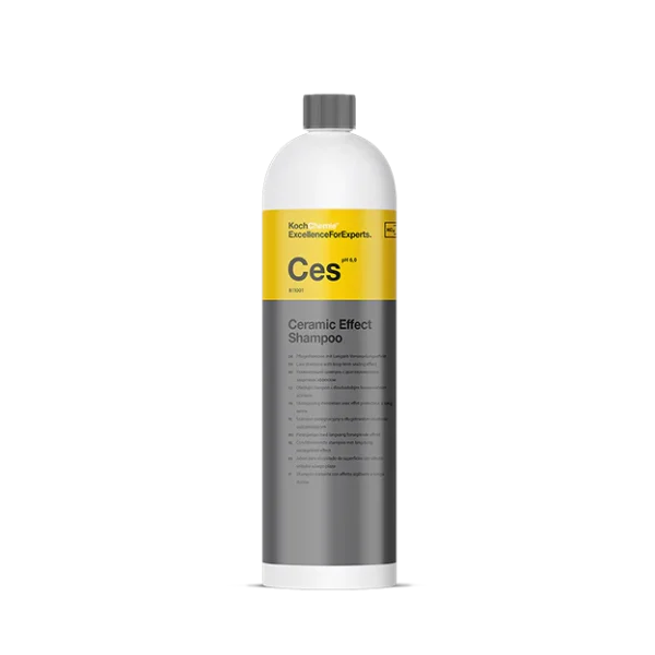 Koch Chemie CES